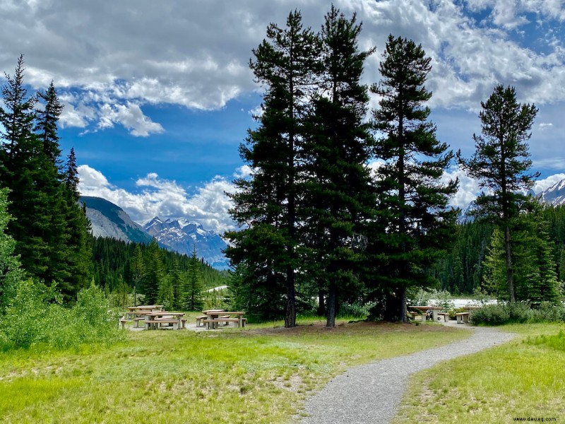 23 Haltestellen auf Kanadas Icefields Parkway, die Sie nicht verpassen sollten! 