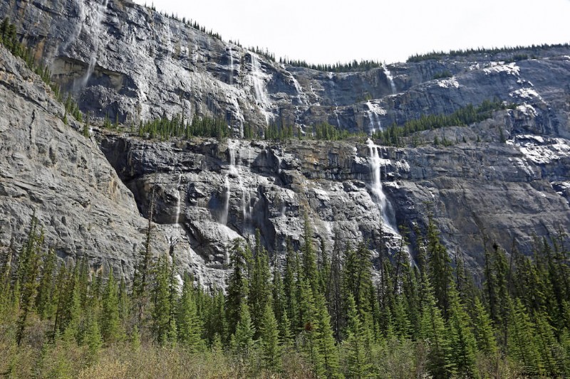 23 Haltestellen auf Kanadas Icefields Parkway, die Sie nicht verpassen sollten! 