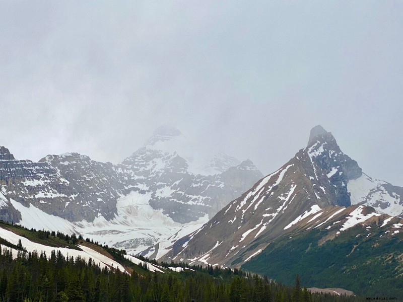 23 Haltestellen auf Kanadas Icefields Parkway, die Sie nicht verpassen sollten! 