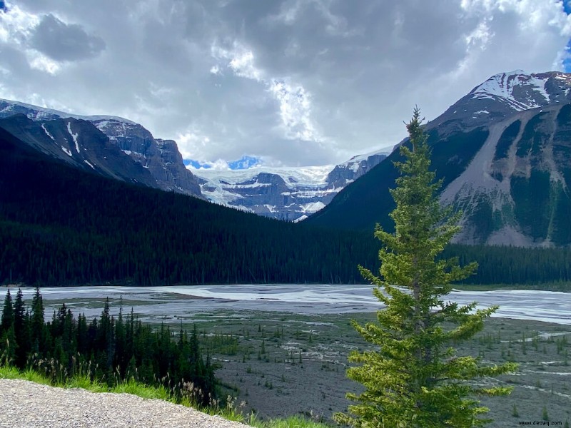 23 Haltestellen auf Kanadas Icefields Parkway, die Sie nicht verpassen sollten! 