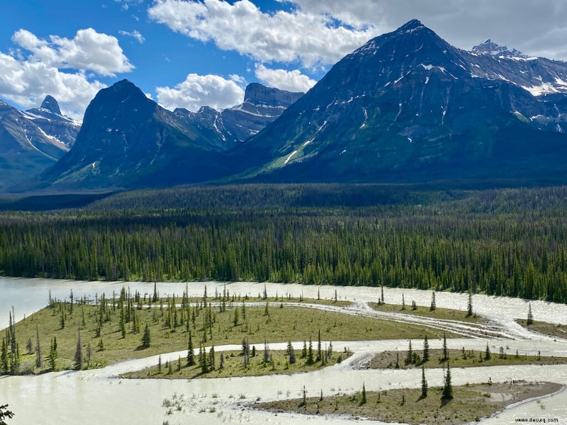 23 Haltestellen auf Kanadas Icefields Parkway, die Sie nicht verpassen sollten! 