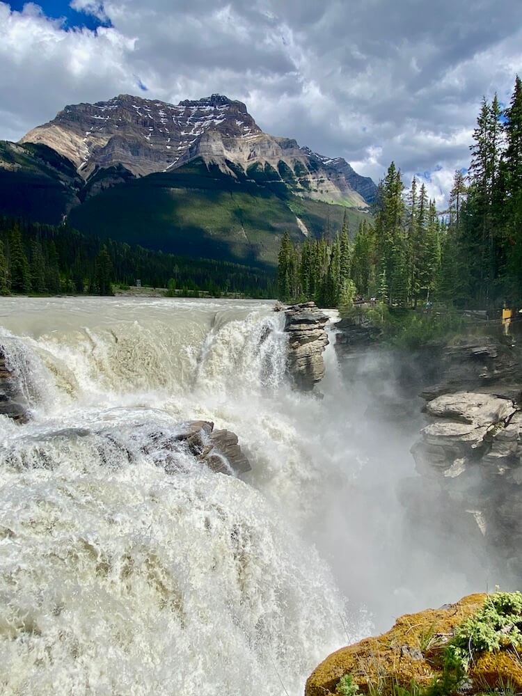 23 Haltestellen auf Kanadas Icefields Parkway, die Sie nicht verpassen sollten! 