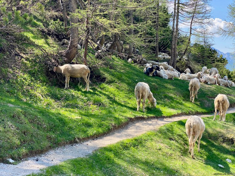 Der beste Kroatien-Roadtrip:Sehen Sie atemberaubende Inseln, Wasserfälle und mittelalterliche Städte 