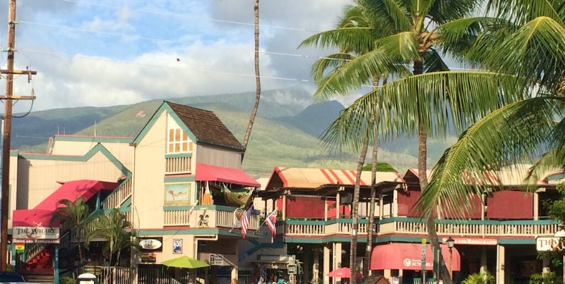 32 erstaunliche Hawaii-Sehenswürdigkeiten, die Sie in Ihrem Leben sehen sollten 