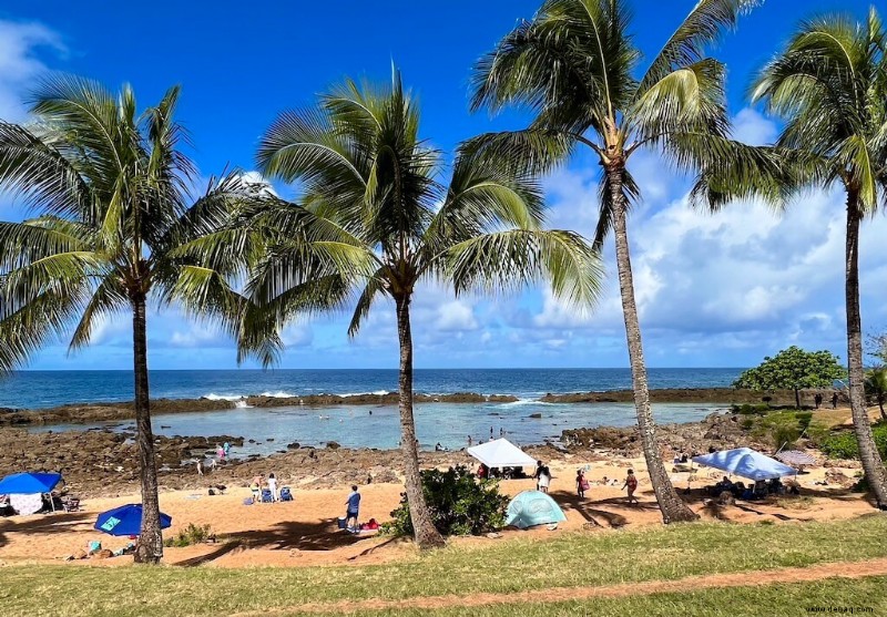 32 erstaunliche Hawaii-Sehenswürdigkeiten, die Sie in Ihrem Leben sehen sollten 