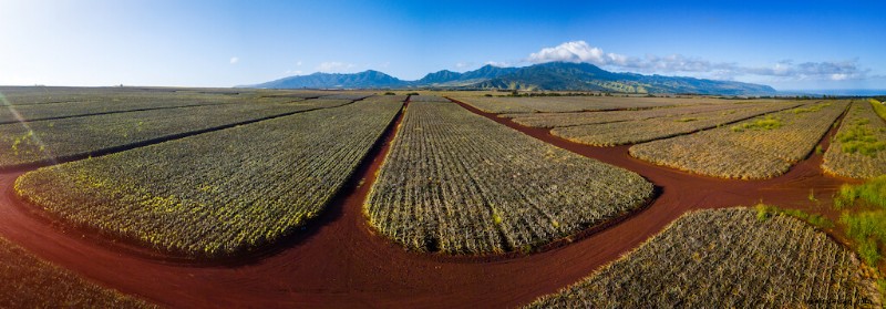 32 erstaunliche Hawaii-Sehenswürdigkeiten, die Sie in Ihrem Leben sehen sollten 