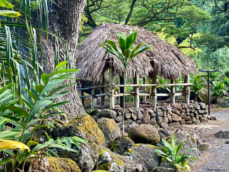 32 erstaunliche Hawaii-Sehenswürdigkeiten, die Sie in Ihrem Leben sehen sollten 