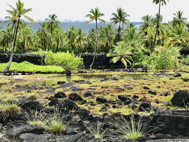 32 erstaunliche Hawaii-Sehenswürdigkeiten, die Sie in Ihrem Leben sehen sollten 