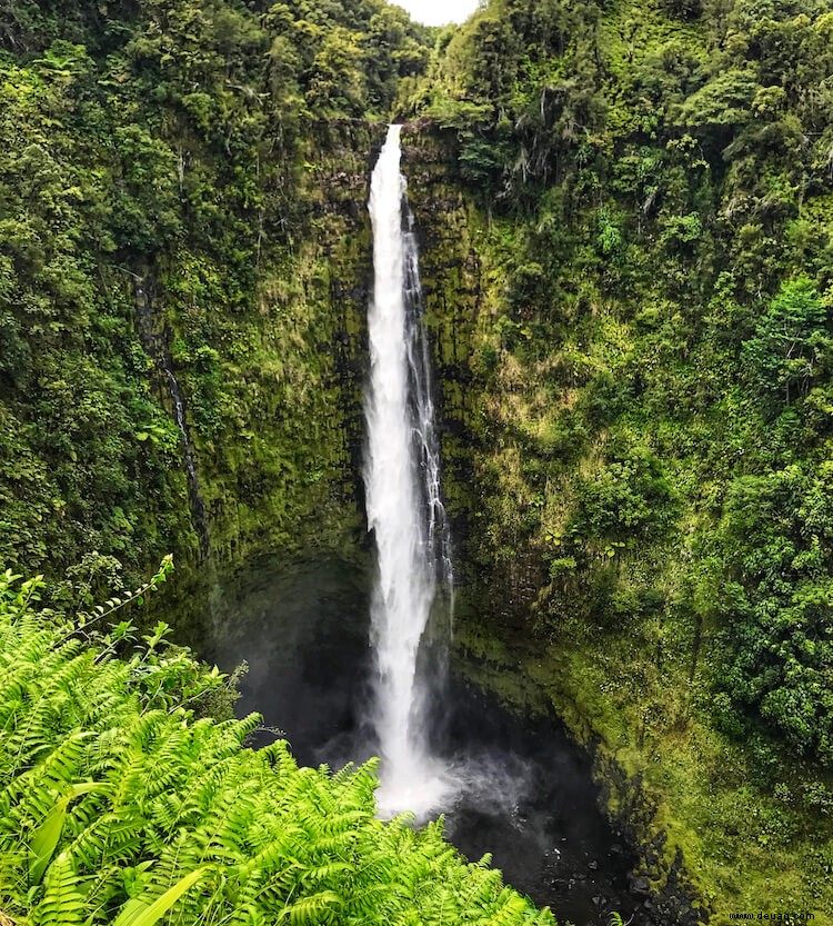 32 erstaunliche Hawaii-Sehenswürdigkeiten, die Sie in Ihrem Leben sehen sollten 