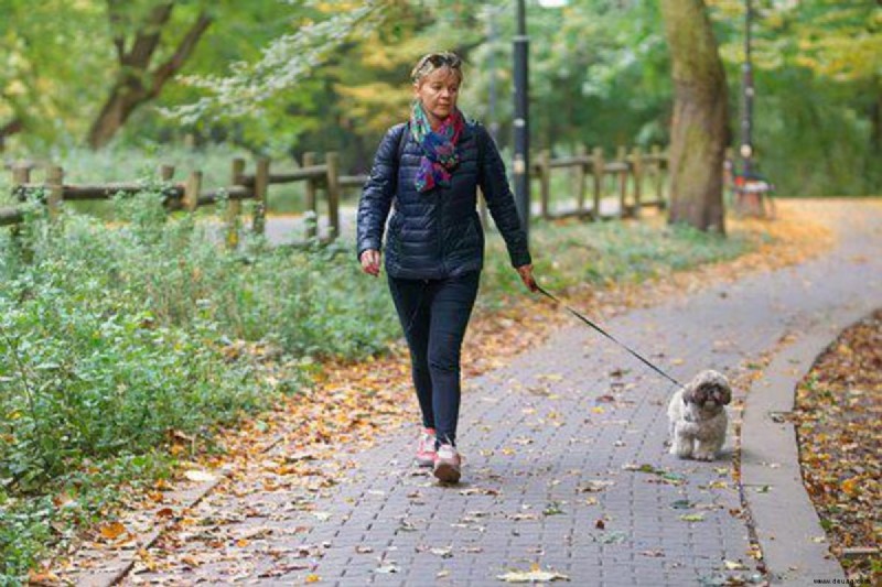 8 Möglichkeiten, Ihren Hund zu beruhigen (bevor Sie Bananen machen) 