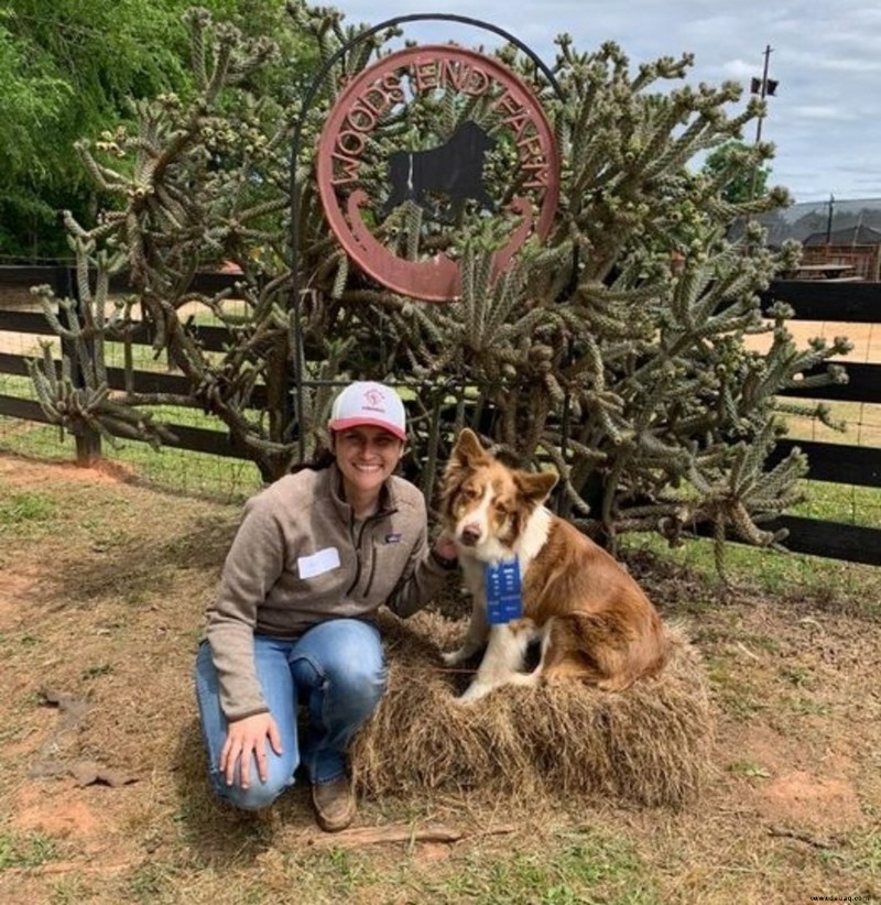 Über 350 beste Namen für Australian Shepherds (mit ihrer Bedeutung) 