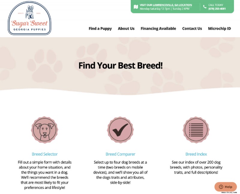 Finden Sie den richtigen Hund mit einer Online-Rassenauswahl 