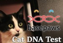 Basepaws Katzen-DNA-Testbericht 