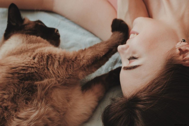 Sieben Tipps, um Ihre Katze glücklich zu machen 