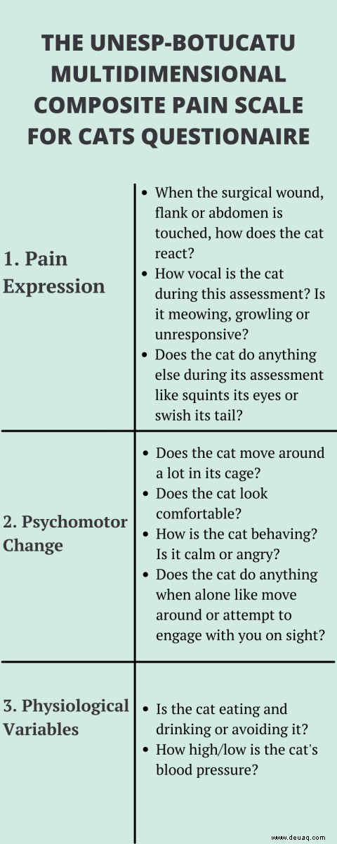 Arten von Schmerzskalen zur Beurteilung akuter Schmerzen bei Katzen 