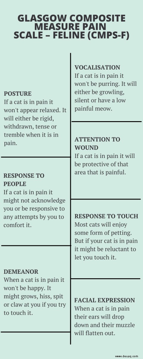Arten von Schmerzskalen zur Beurteilung akuter Schmerzen bei Katzen 