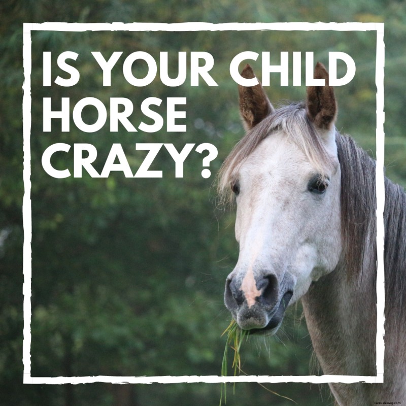 Wird mein Kind aus der Pferdephase herauswachsen? 20 Zeichen, auf die Sie achten sollten 