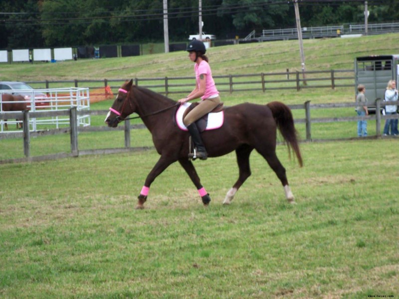 All die Ermutigung, die Sie brauchen, um als Erwachsener mit dem Reiten zu beginnen 