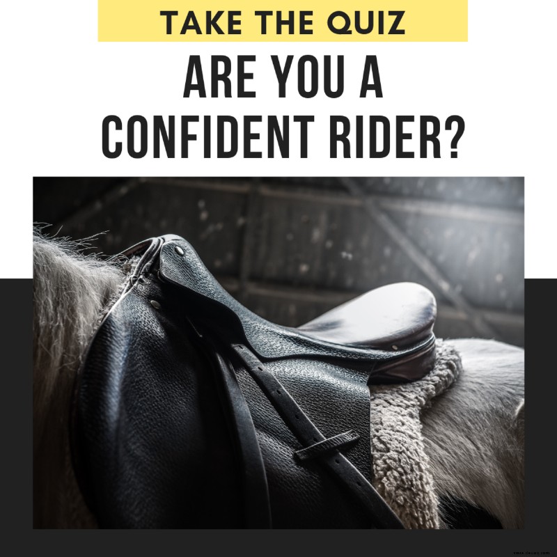 Quiz:Wie sicher bist du einem Reiter? 