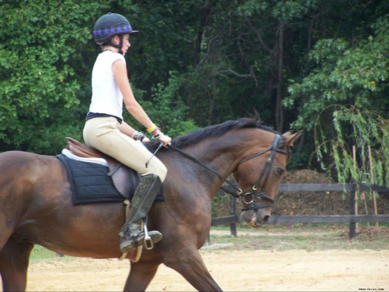 Reiten und Training:Die quadratische Übung 