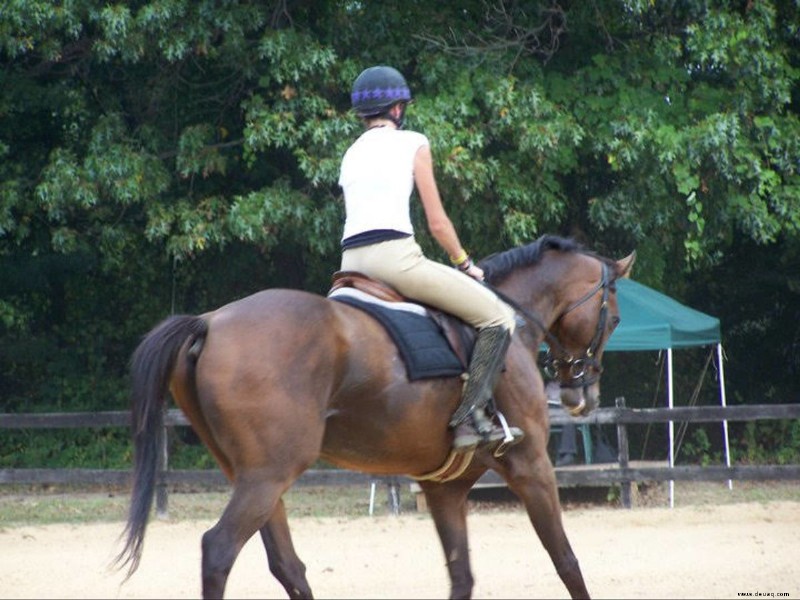 Reiten und Training:Die quadratische Übung 