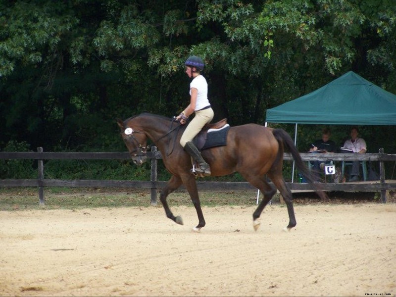 Reiten und Training:Die quadratische Übung 