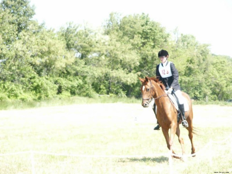 Reiten und Training:Die quadratische Übung 