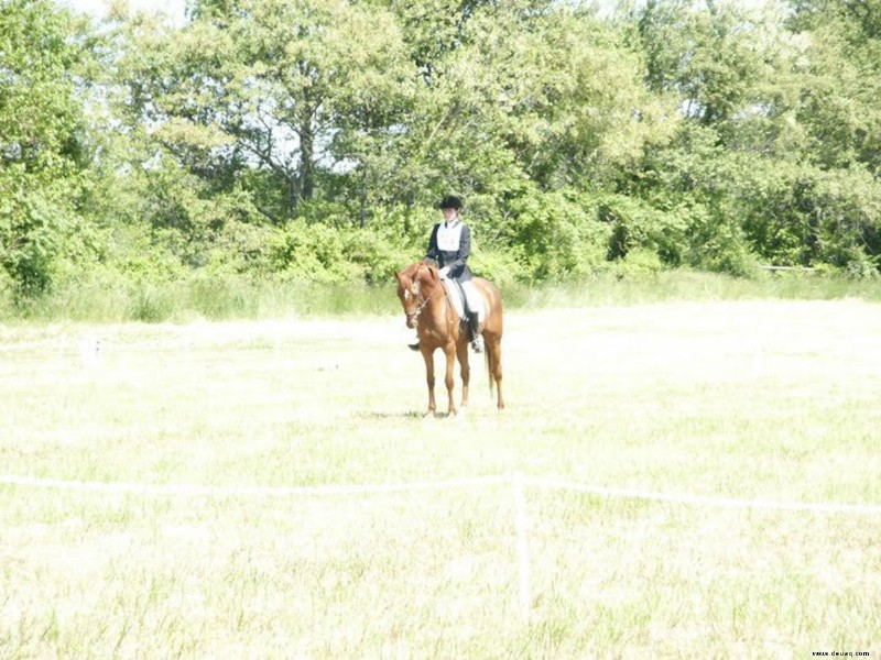 Reiten und Training:Die quadratische Übung 