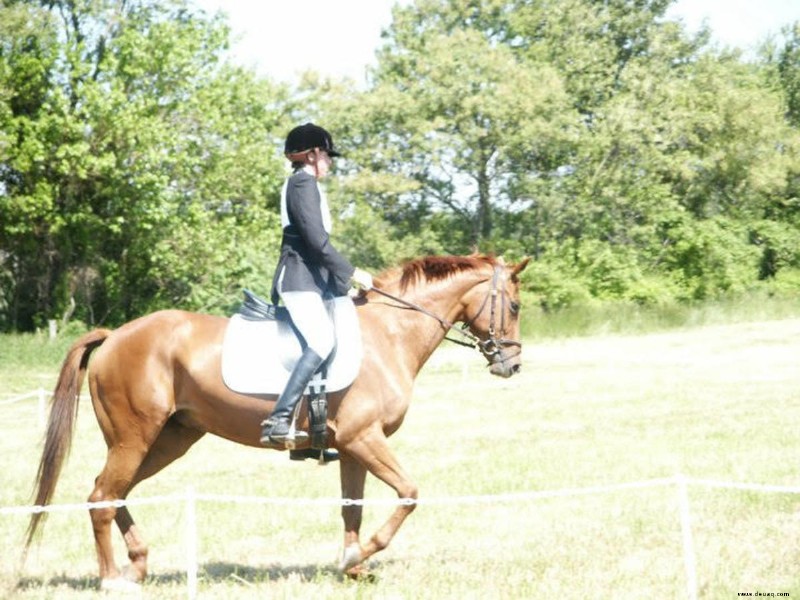 Reiten und Training:Die quadratische Übung 