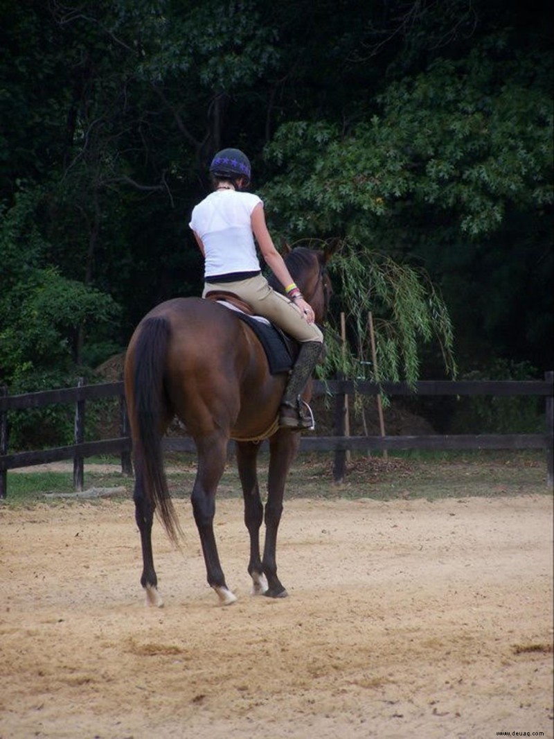 Reiten und Training:Die quadratische Übung 