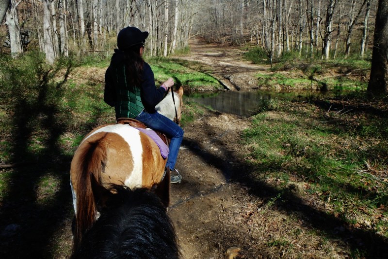 Ein Leitfaden für erstmalige Trailrider 