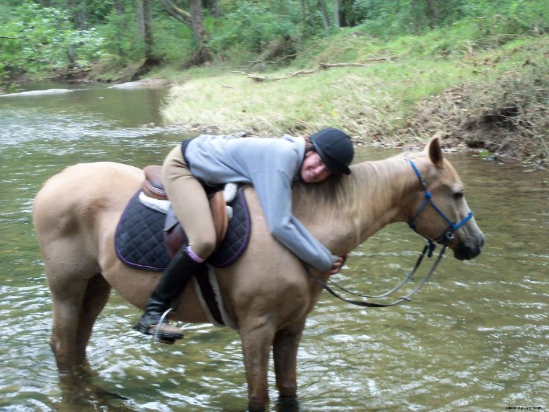 Ein Leitfaden für erstmalige Trailrider 