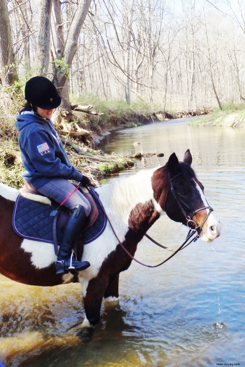Wie man ein schwieriges Pferd reitet:Die Grundlagen für Anfänger 