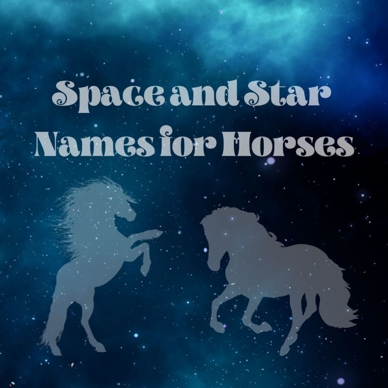 15 Astronomie- und Weltraumnamen für Pferde 
