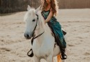 20 legendäre Namen für Pferde aus der griechischen Mythologie 