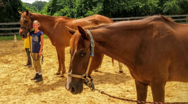 Wie man ein Pferd leaset (plus Vor- und Nachteile) 