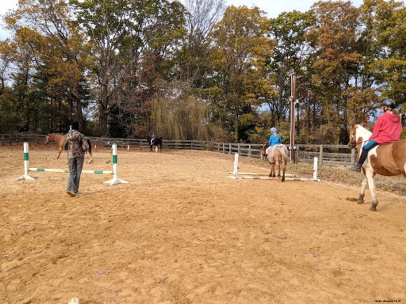 Reiten:Wie man ein großartiger Scheunenelternteil wird 