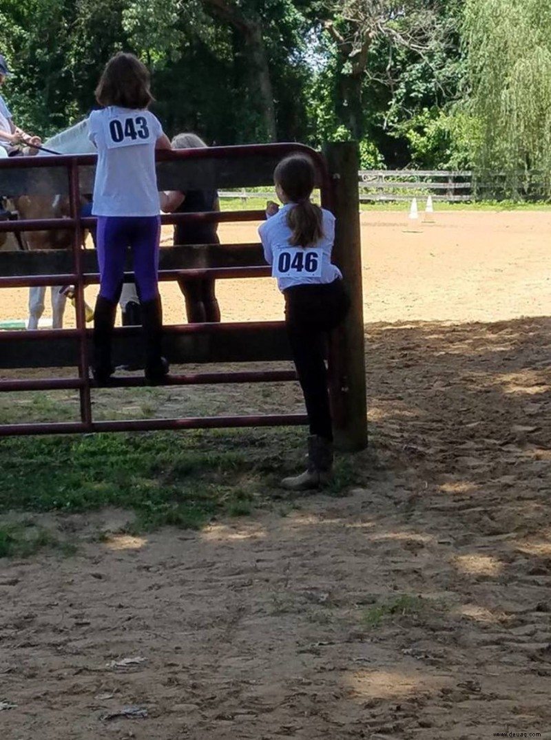 Reiten:Wie man ein großartiger Scheunenelternteil wird 