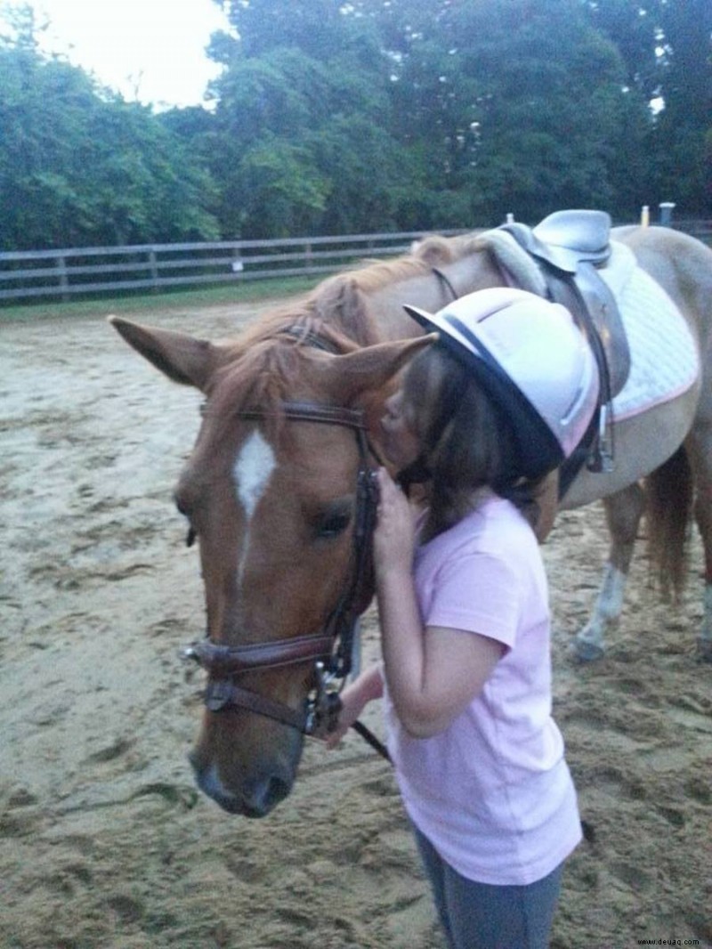 Reiten:Wie man ein großartiger Scheunenelternteil wird 