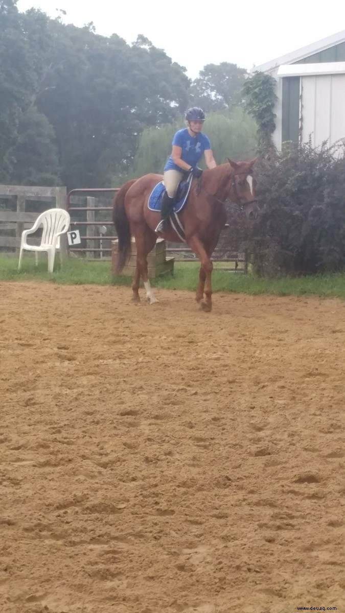 Häufige Probleme und Lösungen beim Reiten 