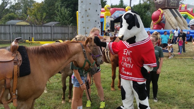 Hilfreiche Ratschläge für den Kauf eines Pony-Ride-Ponys 