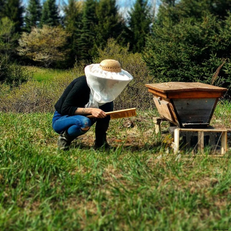 Die 3 Arten von Bienenständen:Langstroths, Warre und Top Bar 
