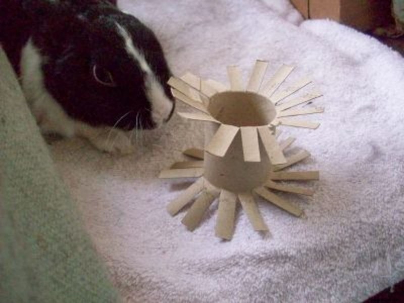 Bunny DIY:Wie man sein eigenes hausgemachtes Kaninchenspielzeug herstellt 
