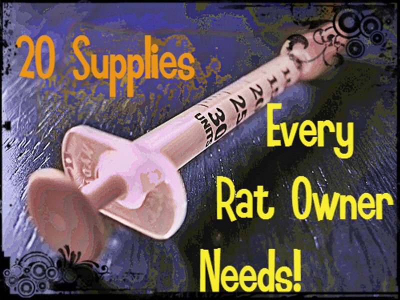 Pet Rat Supply List:Käfig, Essentials und Zubehör 