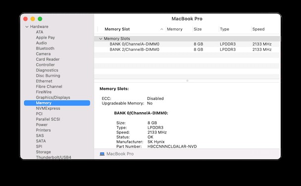 Warum geht meinem Mac der RAM aus? 