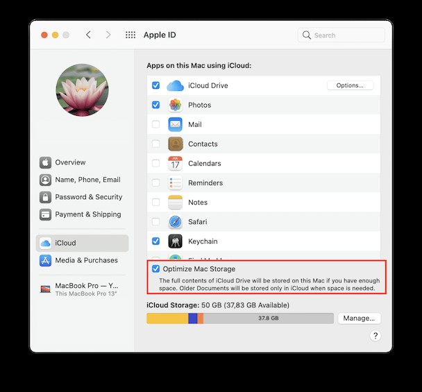 So speichern und löschen Sie aus iCloud:Tipps zu macOS Big Sur 