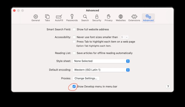 Warum ist Safari auf dem Mac langsam? 