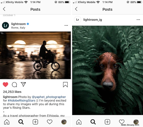 Die 7 besten Instagram-Fotoeditoren für 2021 