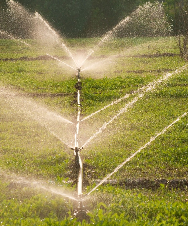 So blasen Sie eine Sprinkleranlage aus – Tipps, um Ihre Sprinkler vor kaltem Wetter winterfest zu machen 