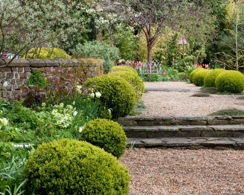 Topiary – 15 Möglichkeiten, beschnittene Evergreens in der Gartengestaltung zu verwenden 